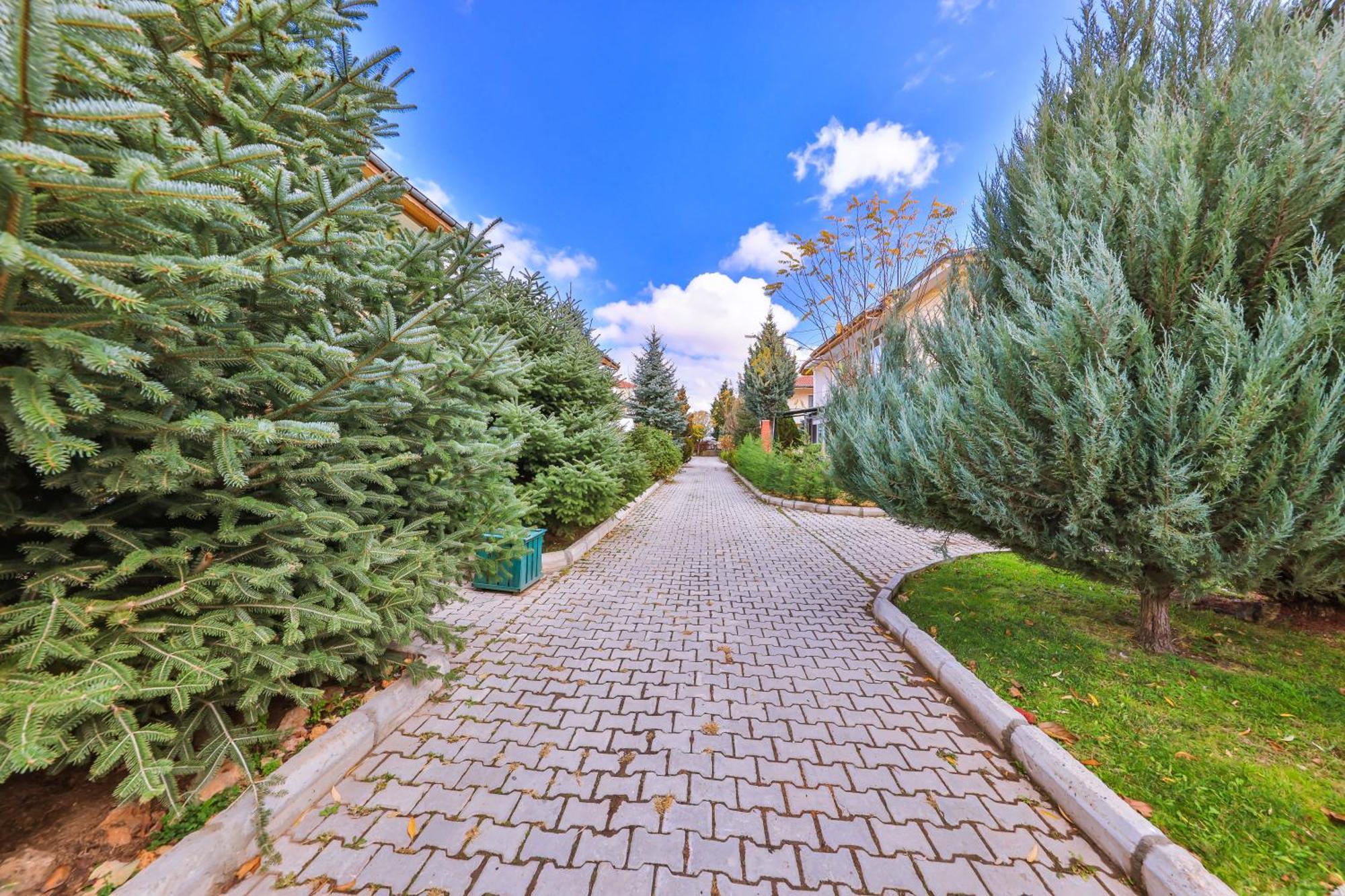 Afyon Dundar Thermal Villa افيون المظهر الخارجي الصورة